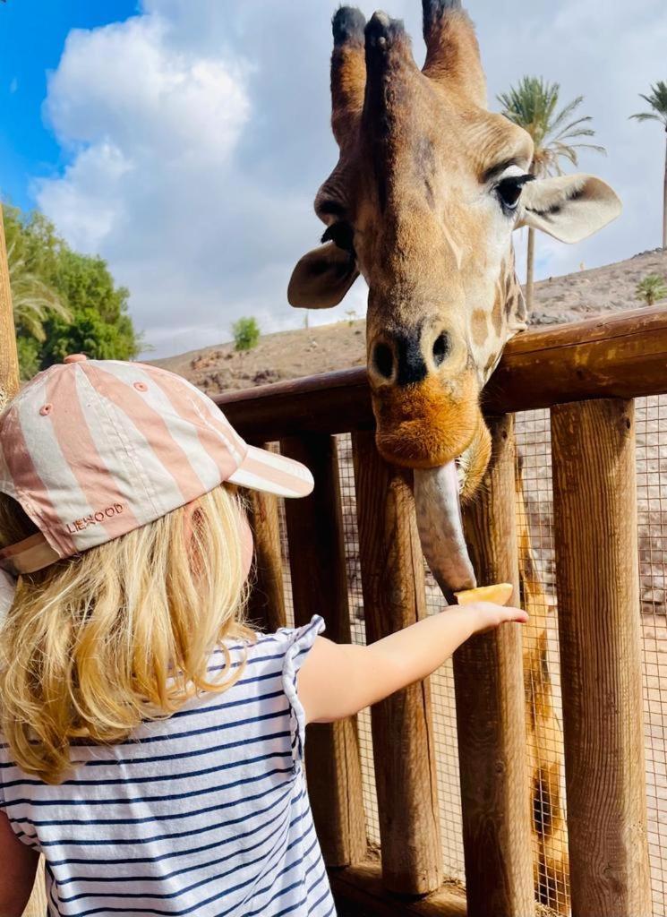 Fewo Holidaybox Fuerteventura Leilighet Costa Calma Eksteriør bilde